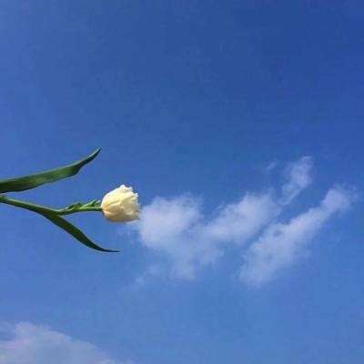 爆炒江湖九游版下载